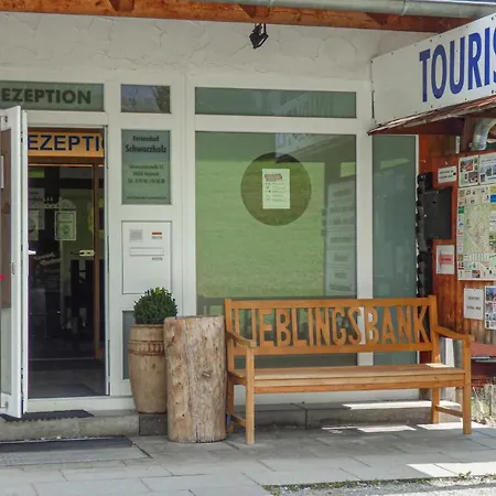 Daire Gorgeous In With Sauna Viechtach